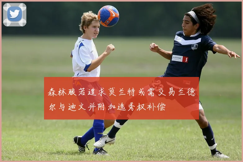 森林狼若追求莫兰特或需交易兰德尔与迪文并附加选秀权补偿